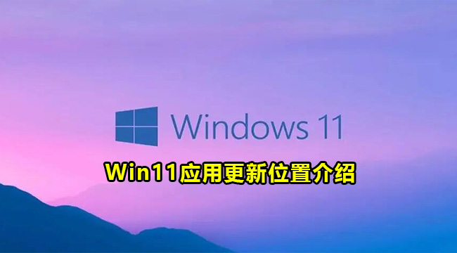 Win11应用更新位置介绍