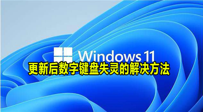 Win11更新后数字键盘失灵的解决方法