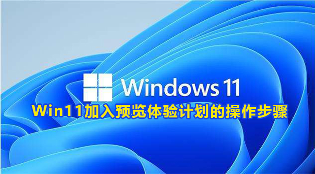 Win11加入预览体验计划的操作步骤