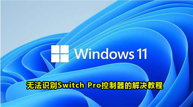 Win11无法识别Switch Pro控制器的解决教程